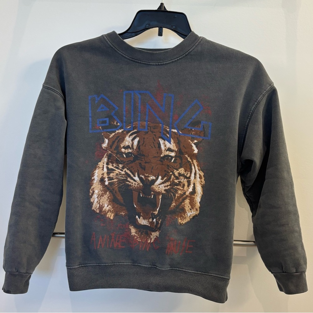 Anime Bing Graphic Print Crew Neck Sweatshirt